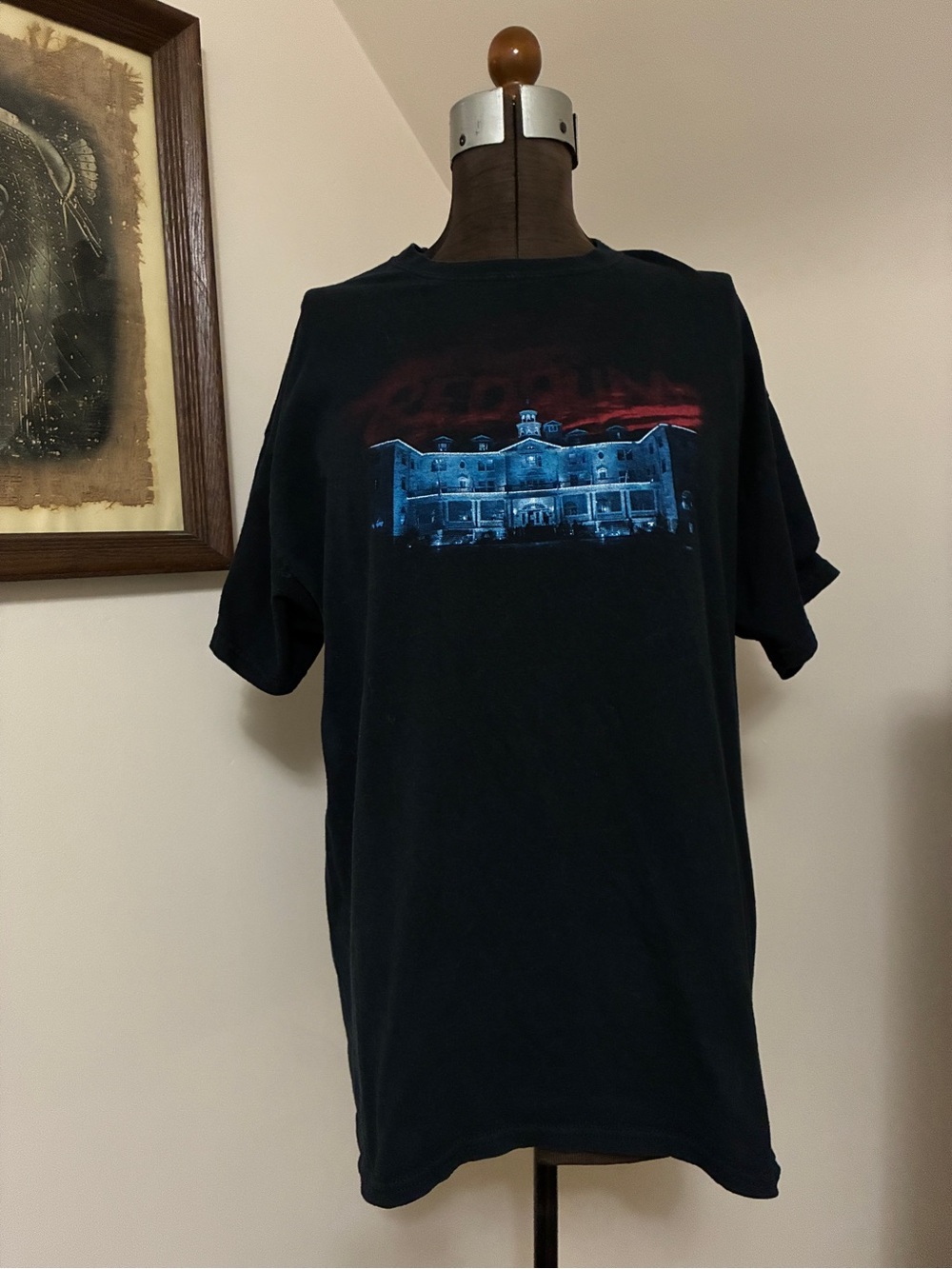Rare! Vintage The Stanley Estes Park Colorado / The Shining Graphic Tee